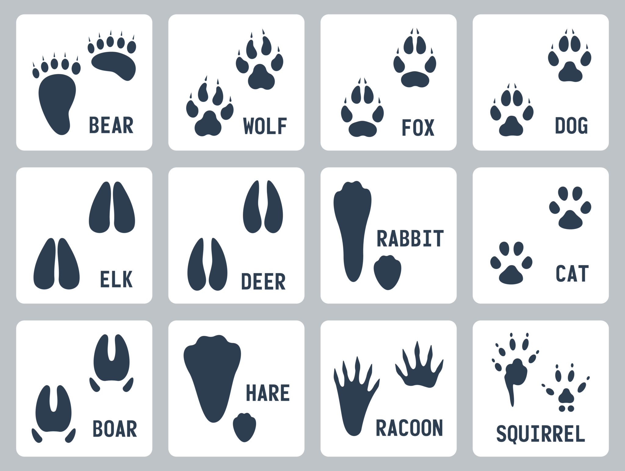 an-image-of-different-animals-and-their-footprints